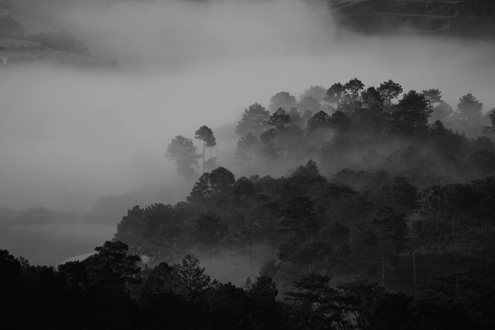 Capture Layer